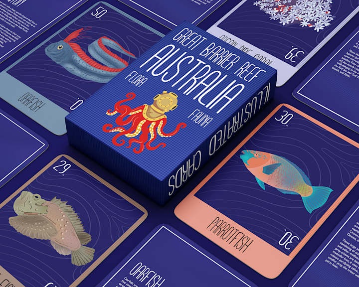 Cover image for Illustrated cards for the Great Barrier Reefs Australia