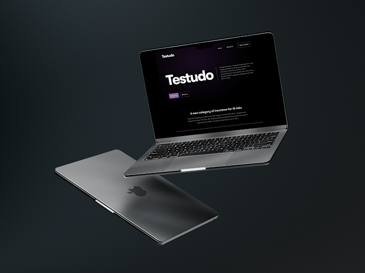 Cover image for Testudo: Helping businesses manage AI related insurance risks