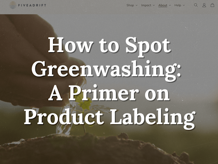 Cover image for SEO Blog Writing for Sustainability Brand 