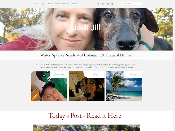 Cover image for Design & Development of Wix website