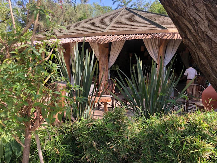 Cover image for Kibo Safari Camp