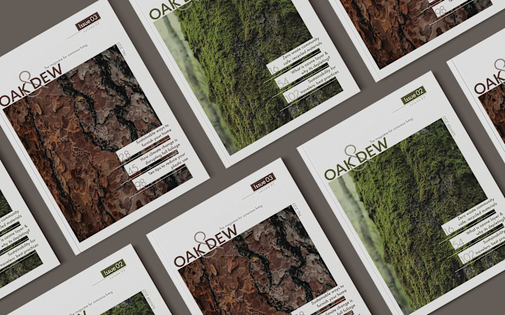 Cover image for Magazine Layout