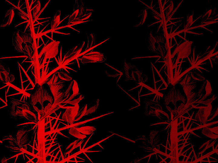 Cover image for ulexproject.org