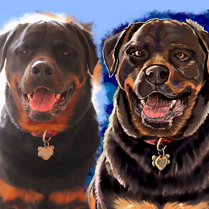 Cover image for I will paint your beautiful pet