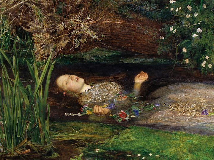 Cover image for Ophelia (in English)