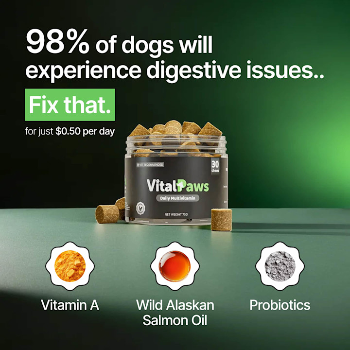 Cover image for Static Ads | Vital Paws