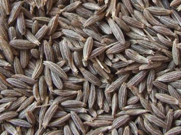 Cover image for Cumin seeds