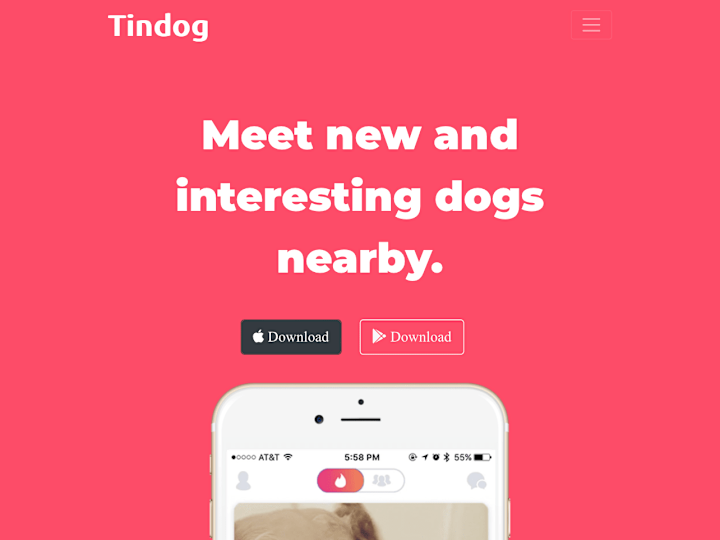 Cover image for TinDog