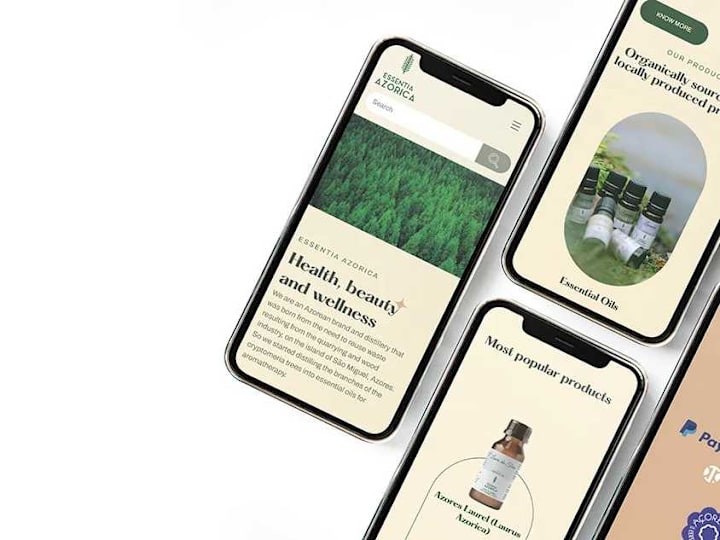 Cover image for Custom WordPress Website for Local Business