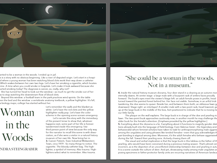 Cover image for Article Illustration