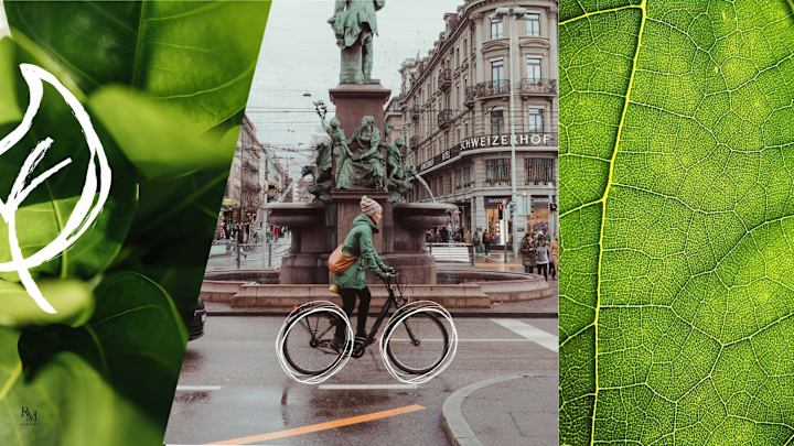 Cover image for Greening Initiative Project for the Embassy of Bern, Switzerland