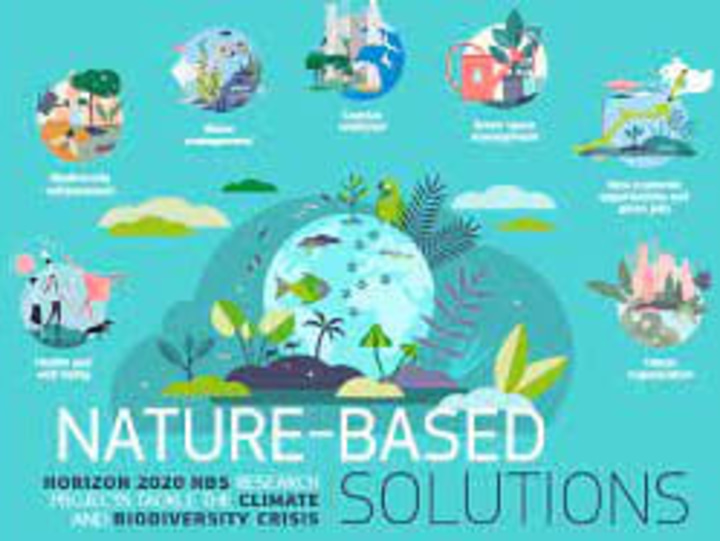 Cover image for Article: Trend of Nature-Based Solutions (NBS)