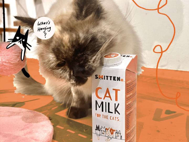 Cover image for Smitten Cat Milk