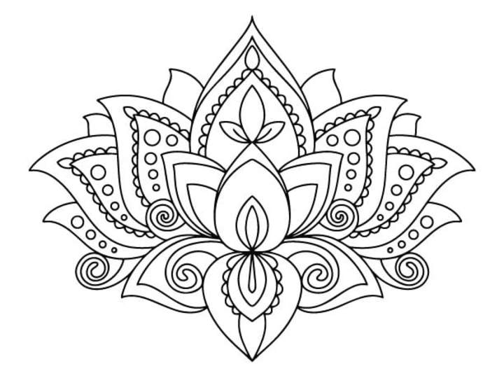 Cover image for Book Illustrations