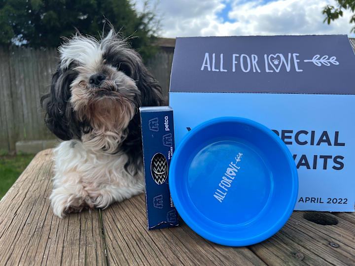 Cover image for Pet Subscription Box 