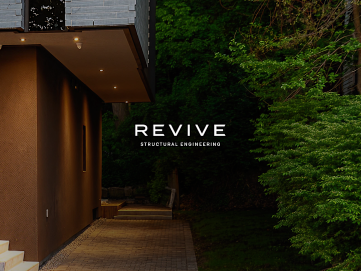 Cover image for Revive Engineering