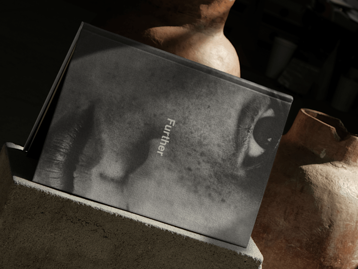Cover image for Further Hotel