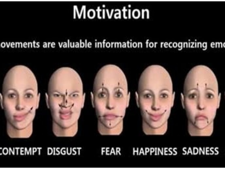 Cover image for Face detection and emotion recognition using camera 