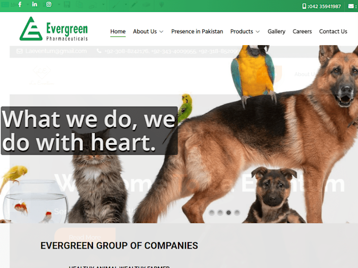 Cover image for Evergreen – Pharma