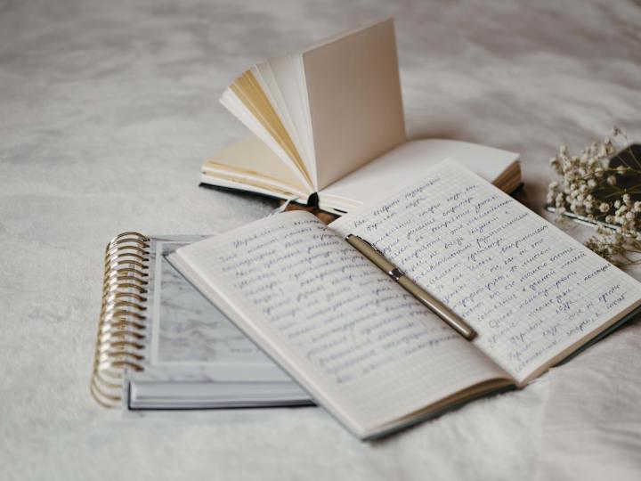 Cover image for The Pen & The power of the written word.
