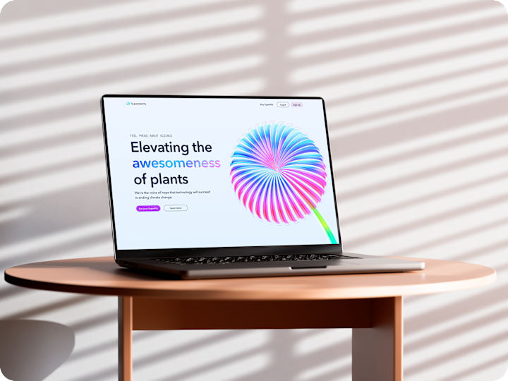Cover image for Website Design