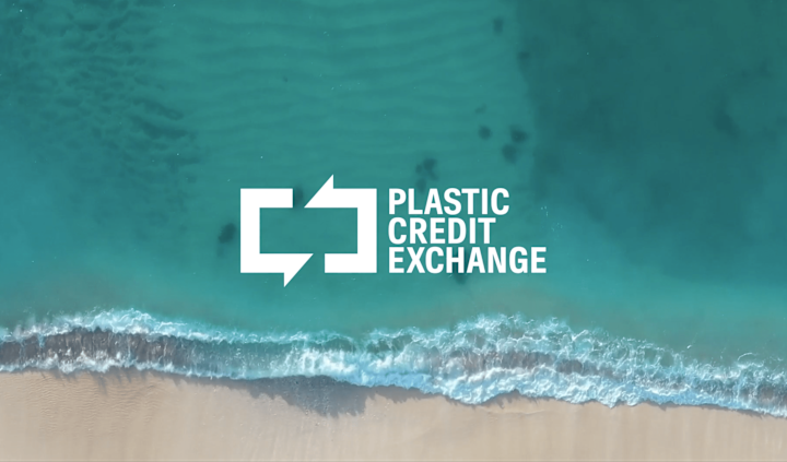 Cover image for Plastic Credit Exchange: Brand Identity