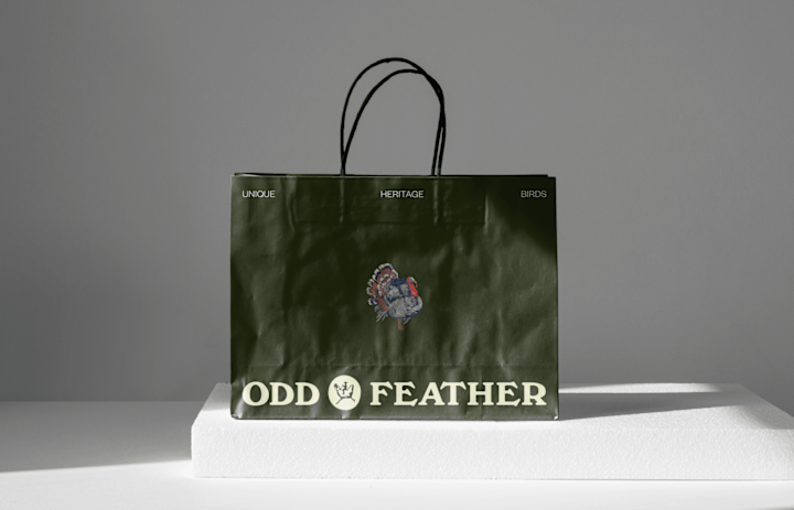 Cover image for Odd Feather