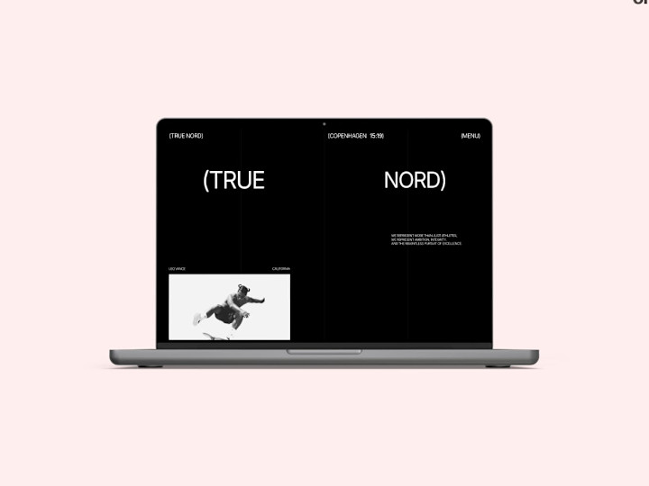 Cover image for True Nord - Sport Agency Template