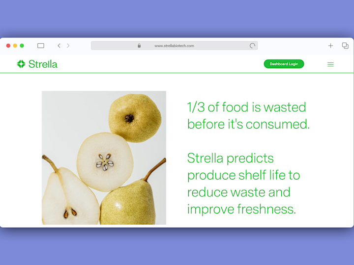 Cover image for STRELLA BIOTECH — Brittany Shuck