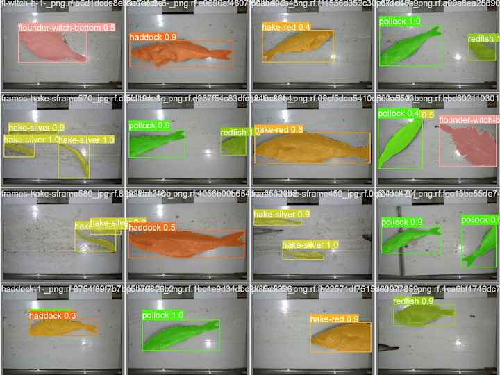 Cover image for AI-Boosted Fish Discard Chute (Research Paper)