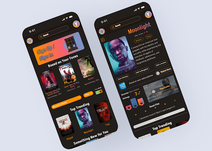 Cover image for CineNet Streaming Platform Design