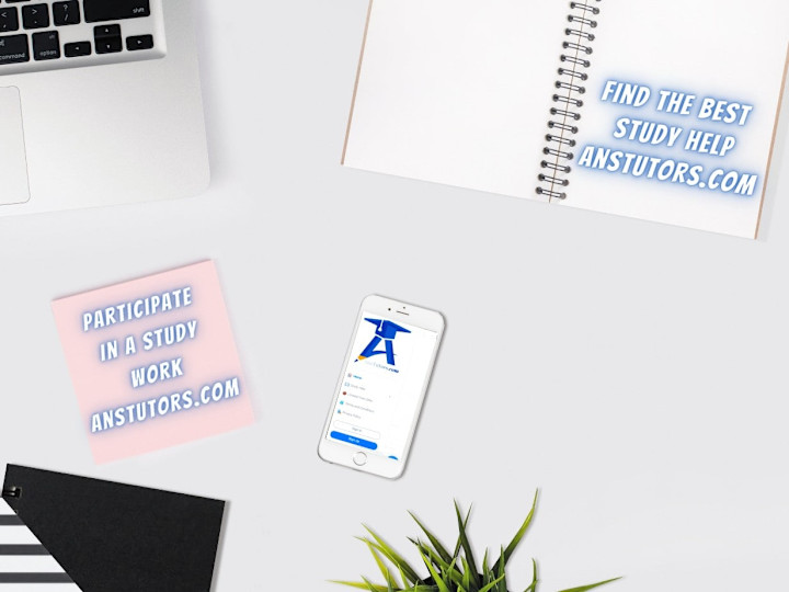 Cover image for Professional Website Development