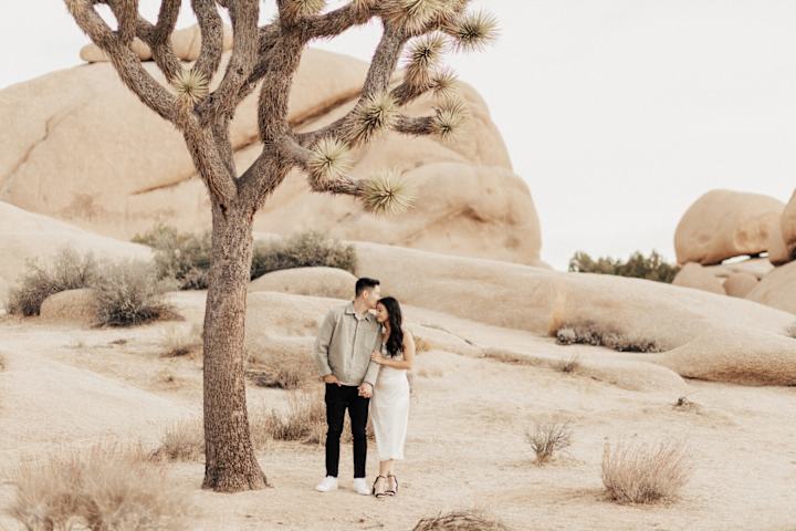 Cover image for Golden Sunrise Joshua Tree Engagement - Popped Blog