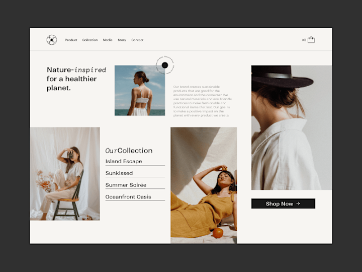 Cover image for Fashion Store Web Design