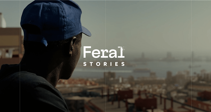 Cover image for Audiovisual Production Company | Feral Stories