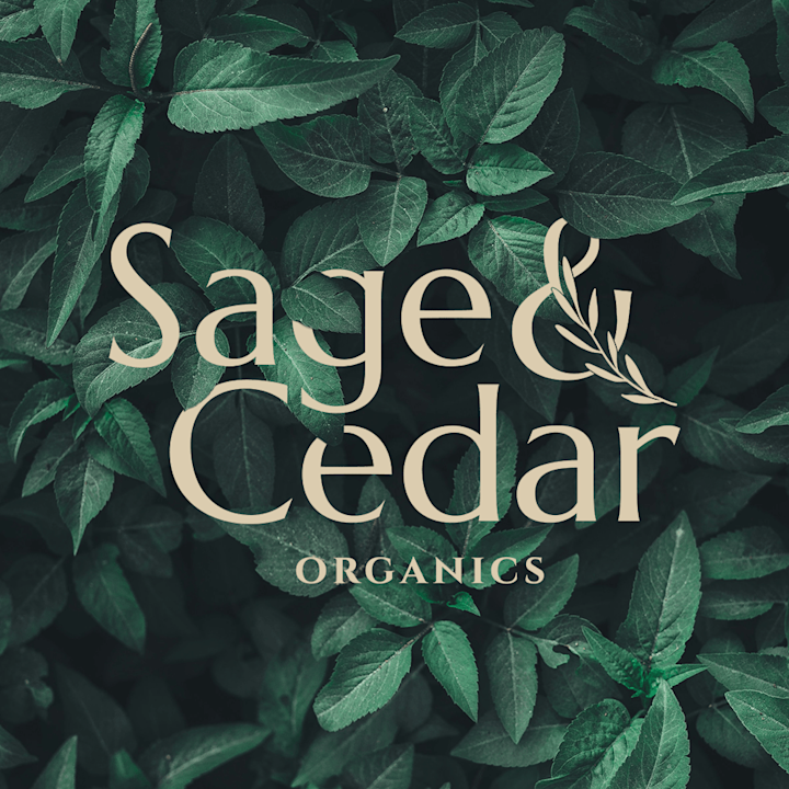 Cover image for CBD Company Brand Design and Strategy