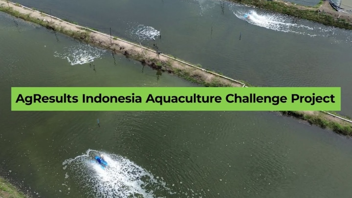 Cover image for Learning From Smallholder Farmers: Technology Prize in Indonesia