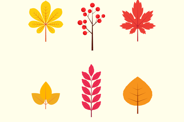 Cover image for Autumn Pattern Illustration
