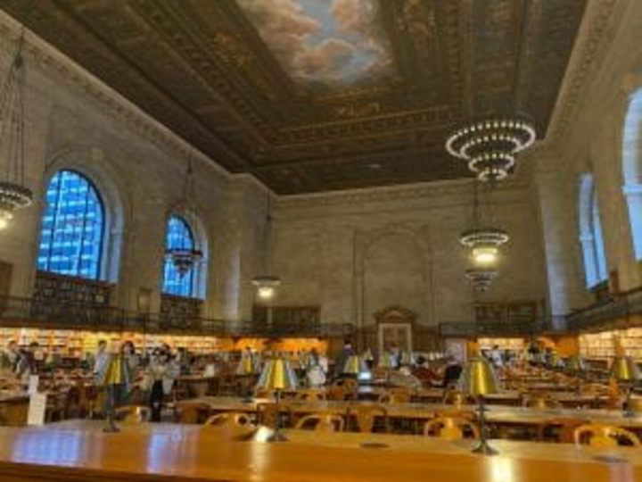 Cover image for City Study Spots – The Honors Herald