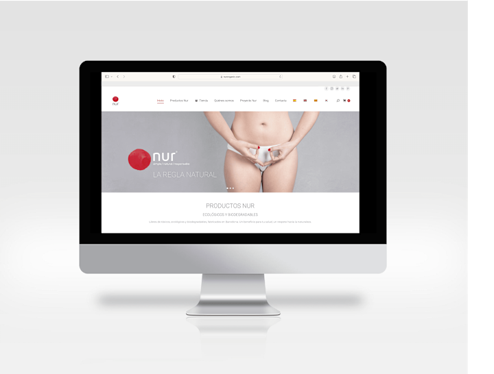 Cover image for Women's Healthcare & Wellbeing