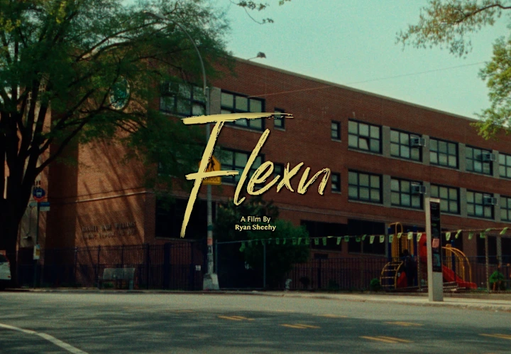Cover image for FLEXN AF1 