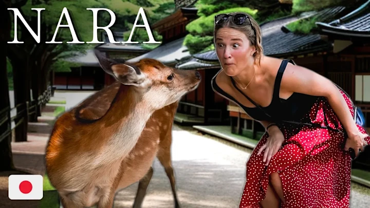Cover image for Youtube Video - Probably Lost