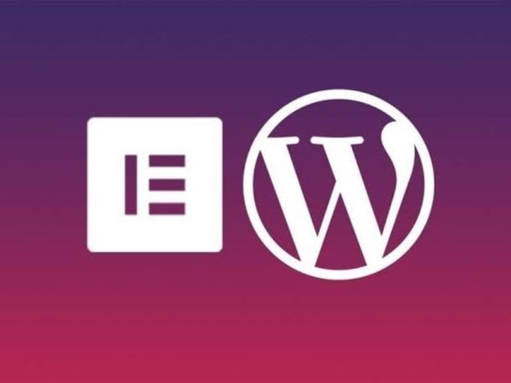 Cover image for WordPress Development & Management