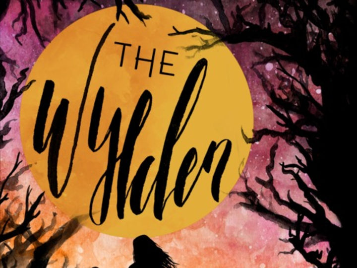 Cover image for The Wylden