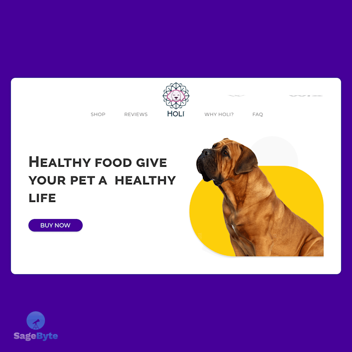 Cover image for Feed Holi