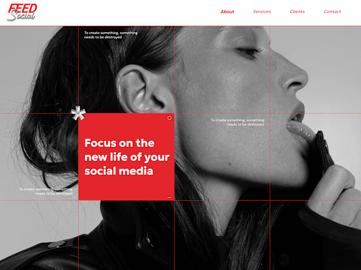 Cover image for Wix Studio Web Design and Branding | Feed Social