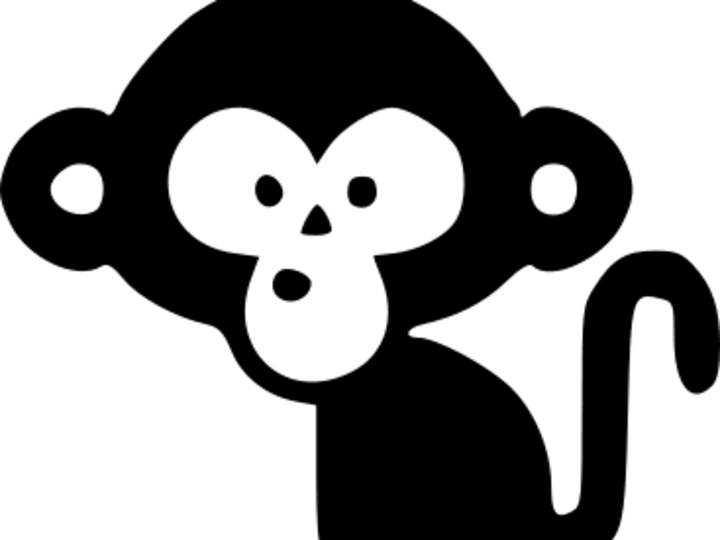 Cover image for Market Jungle Frontend Support.