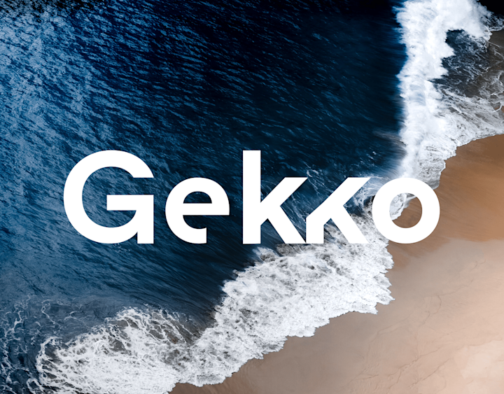 Cover image for Gekko Logo & Landpage Design