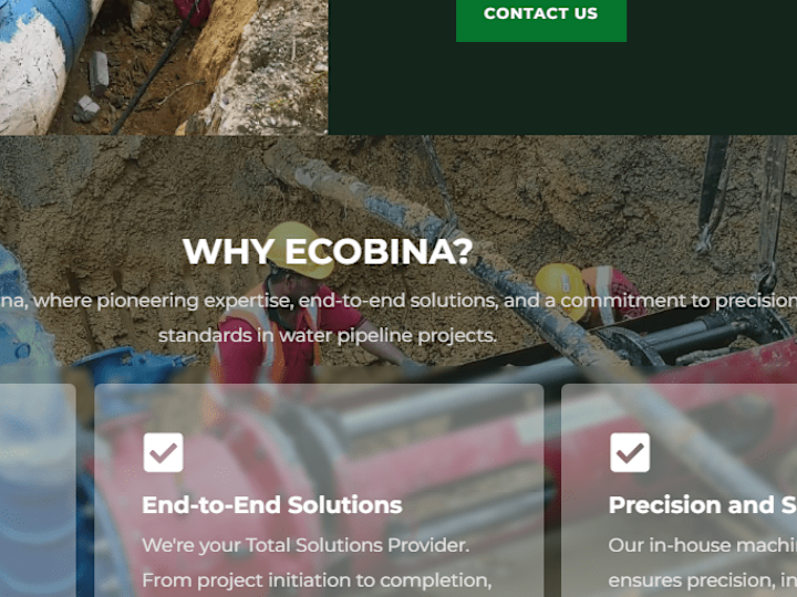 Cover image for Ecobina
