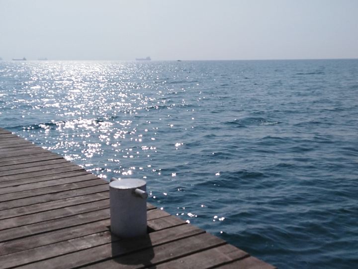 Cover image for Writing, translation and photography